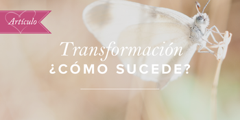 Transformación: ¿cómo sucede? image
