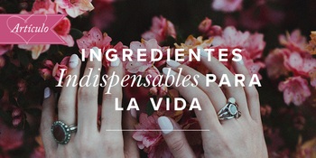 Ingredientes indispensables para la vida image