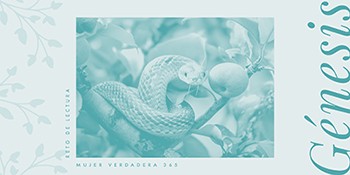 Infografía de Génesis