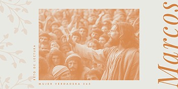 Infografía de Marcos