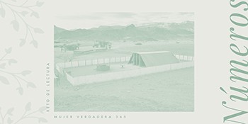 Infografía de Números