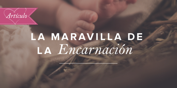 La maravilla de la encarnación image