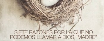 Siete razones por la que no podemos llamar … image